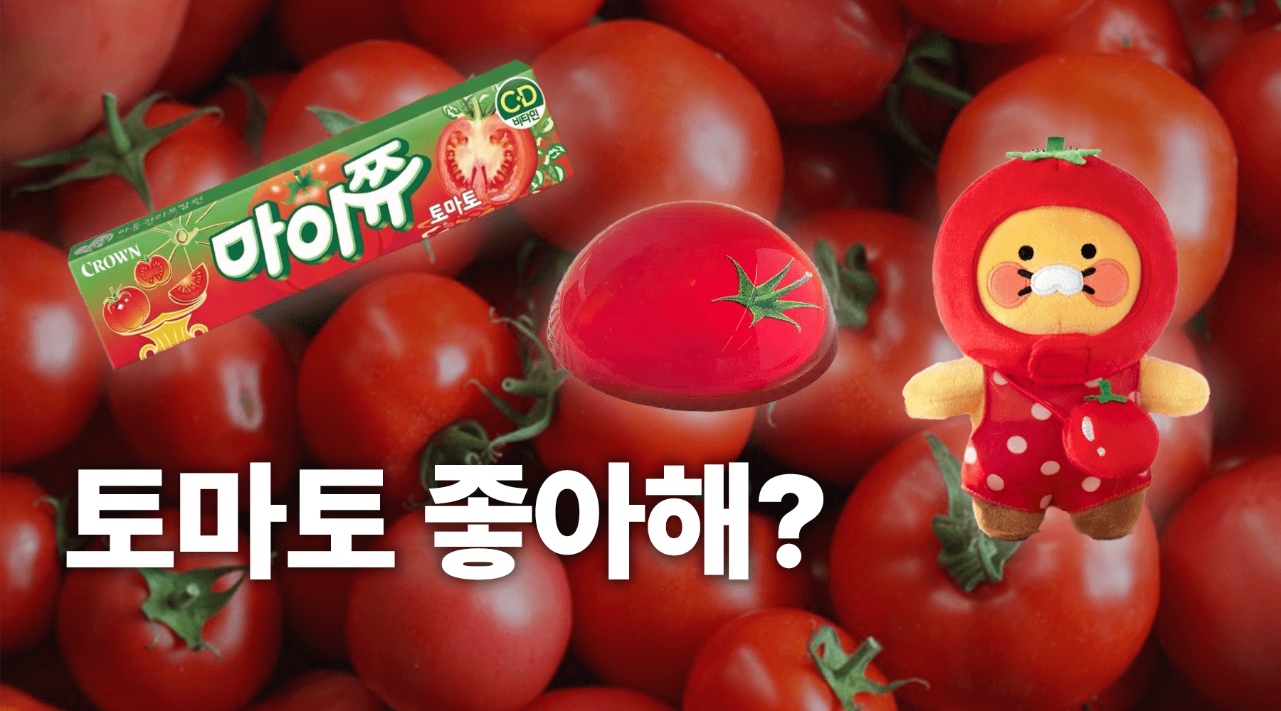 토마토 좋아해? 토마토 덕후 심장 뛰는 콜라보