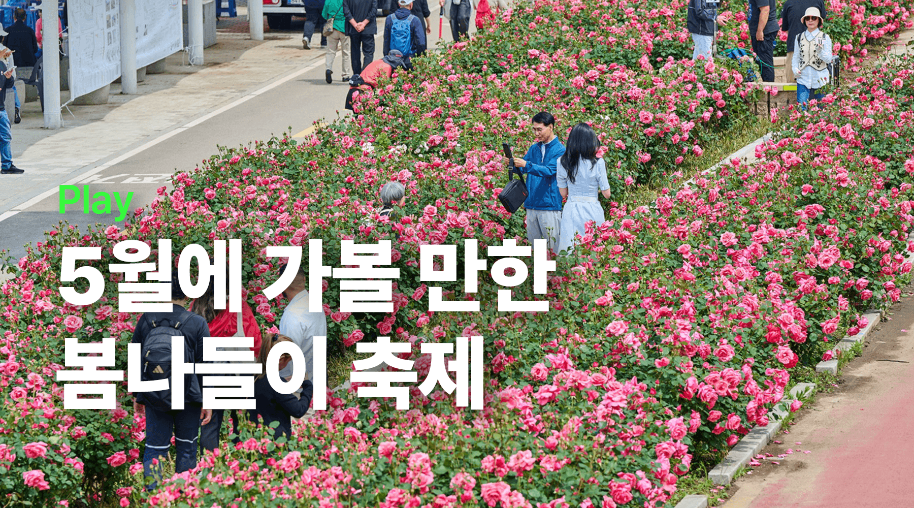 5월 주말 어디 가지? 봄에 즐기기 좋은 축제