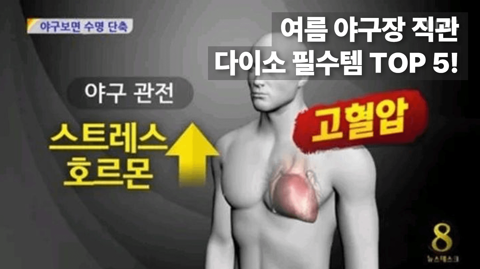 여름 야구장 직관 다이소 필수템 TOP 5!
