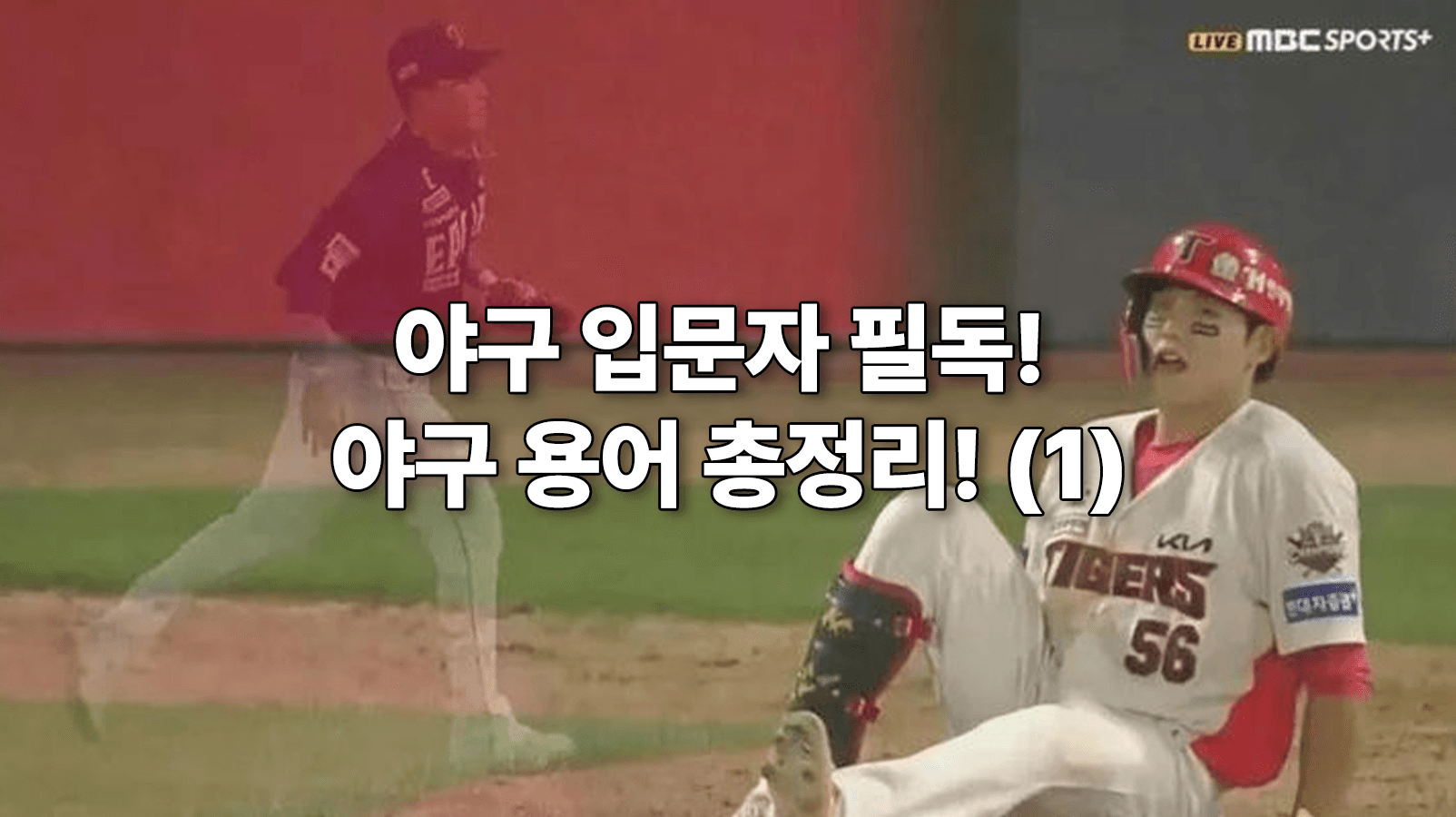 야구 입문자 필독! 야구 용어 총정리! (1)