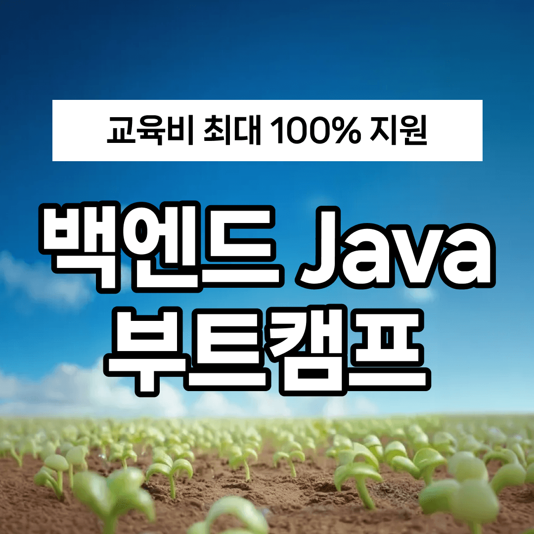 멋쟁이사자처럼 백엔드 부트캠프 24기