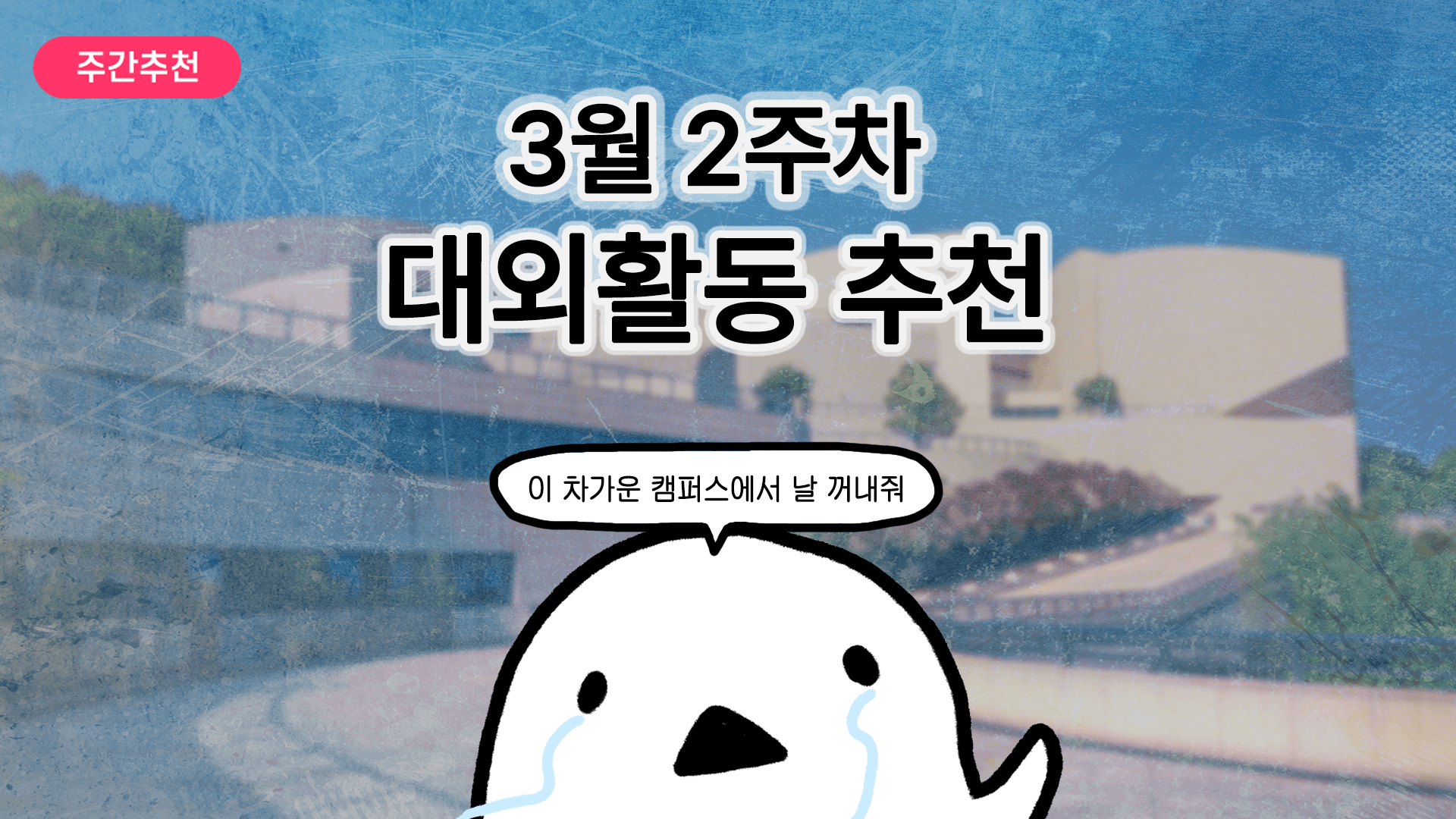 [주간추천] 2026년 3월 2주차 주간추천